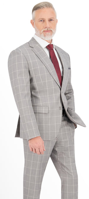 Abalone Grey Windowpane Regular Suit