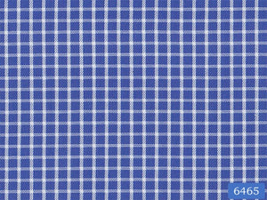 Blue and White Check Shirt