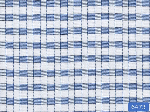 Cornflower Blue and White Check Shirt