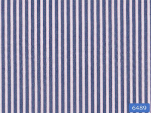 Olympic Blue Stripe Shirt