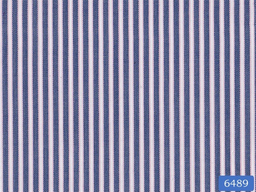 Olympic Blue Stripe Shirt