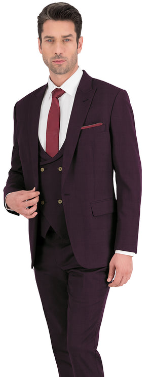 Egg Plant Purple Plain Suit