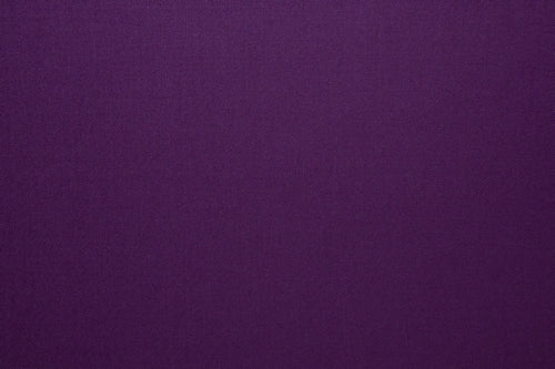 Egg Plant Purple Plain Suit