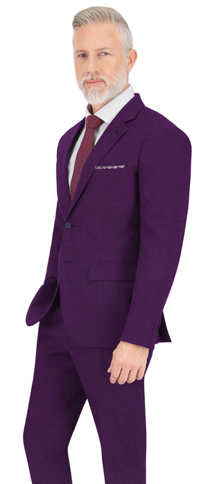 Egg Plant Purple Plain Suit