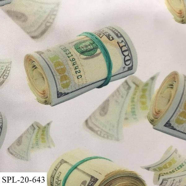 Rolls of Cash Pocket Square