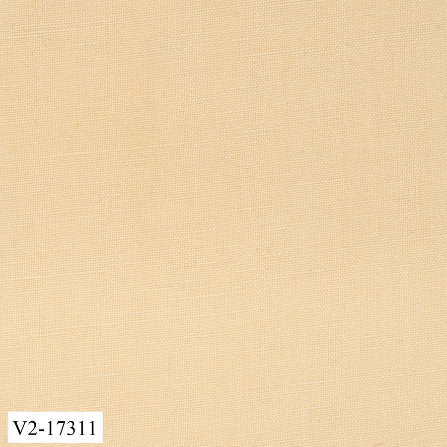 Yellow Tan Plain Suit