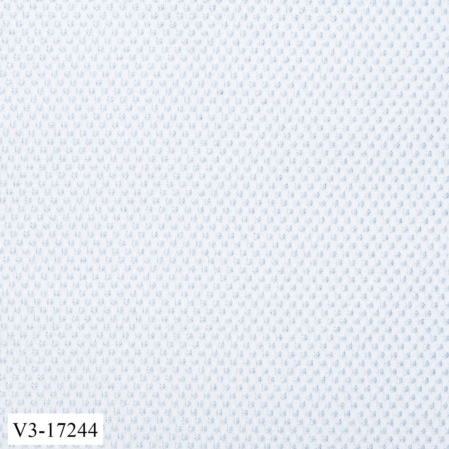 Powder Blue With Sky Blue Dots Pant